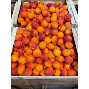 Apricots, the 500gr