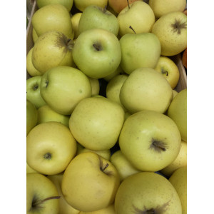 Golden apple, le kg ( 6)