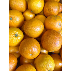 Orange à jus, les 500g
