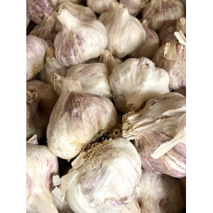 Garlic , 2 pieces