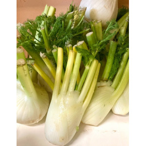 Fennel ,by 2, about 800g